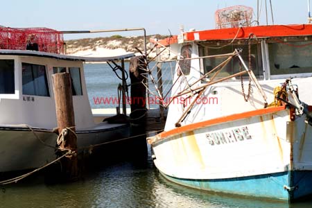 Dauphin Island Alabama 3