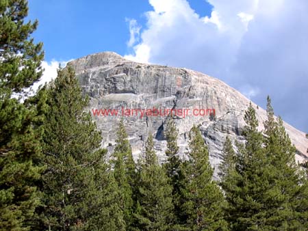 Half Dome in Yosimite