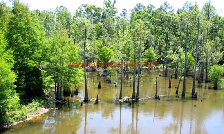 Pascagoula Mississippi