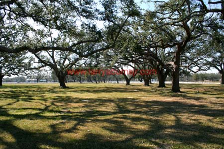 VA memorial cemetary in Biloxi